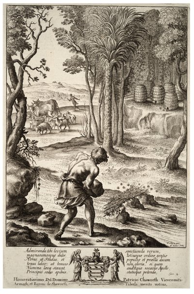 Abejas enjambrando. Estado 1 de Wenceslaus Hollar